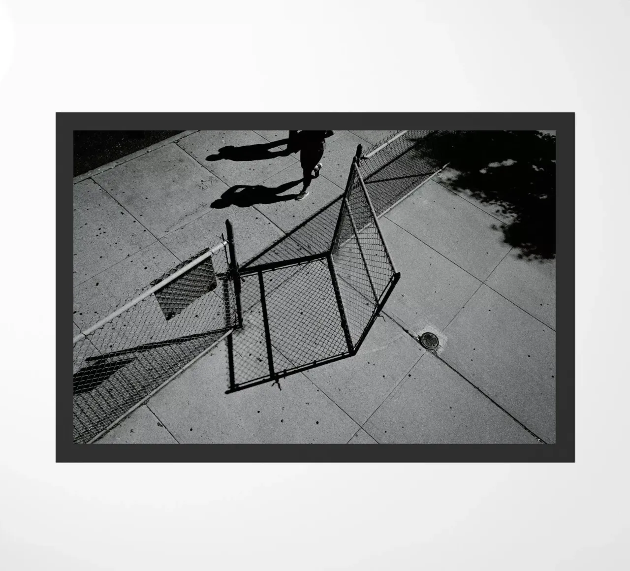 Go zerbino da Philipp Reinhard