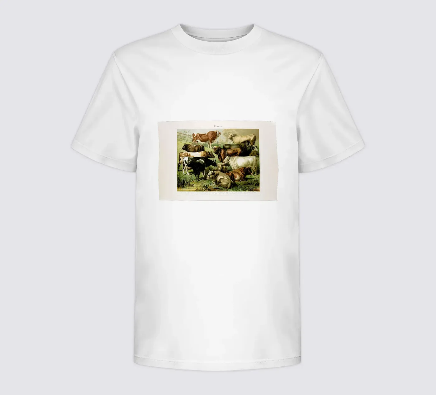 Herd kinder t-shirt van Flora & Fauna