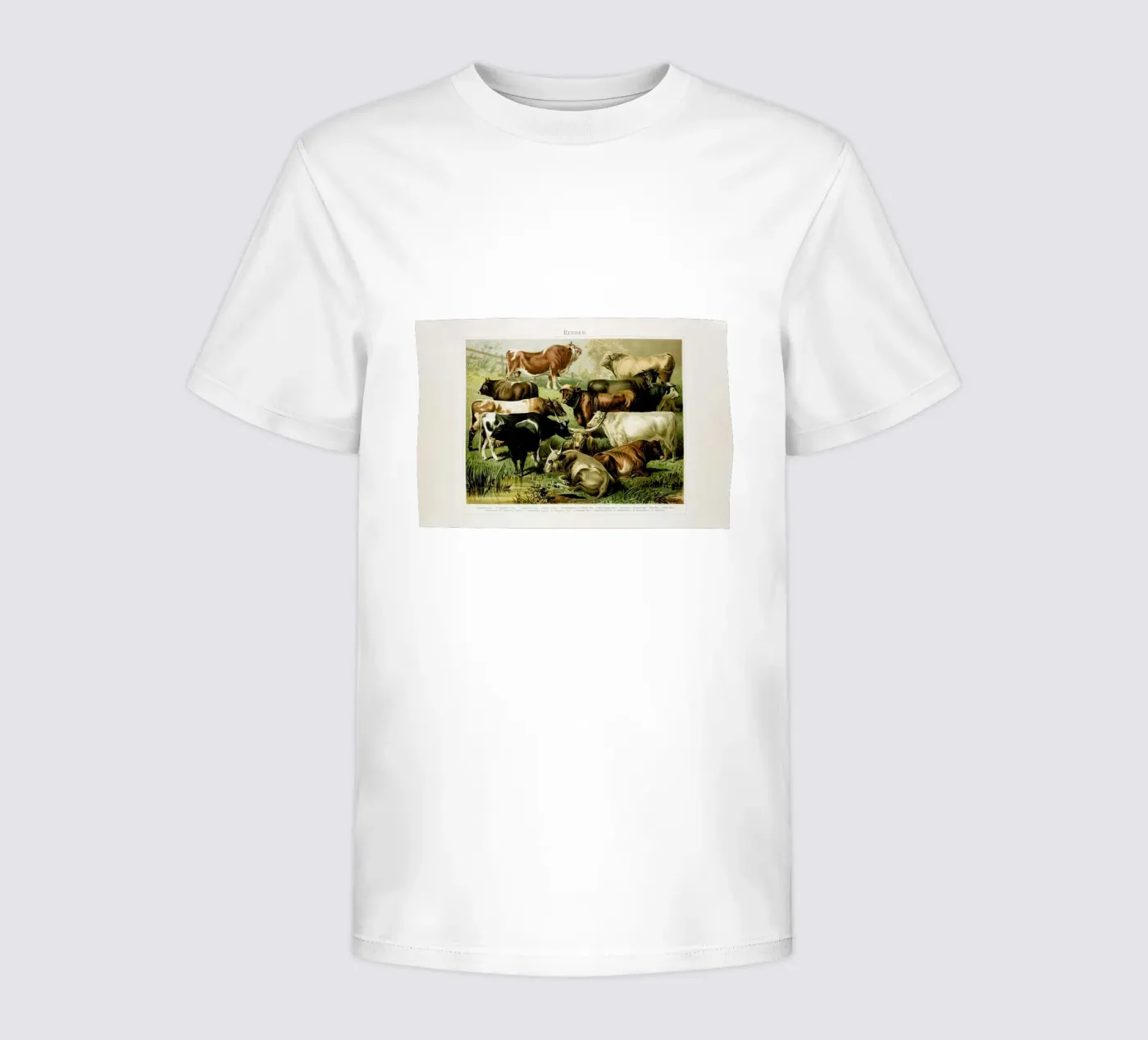 Herd kinder t-shirt van Flora & Fauna