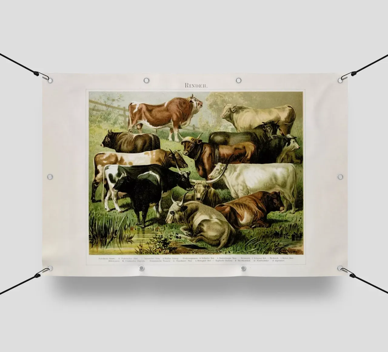 Herd telo in pvc da Flora & Fauna