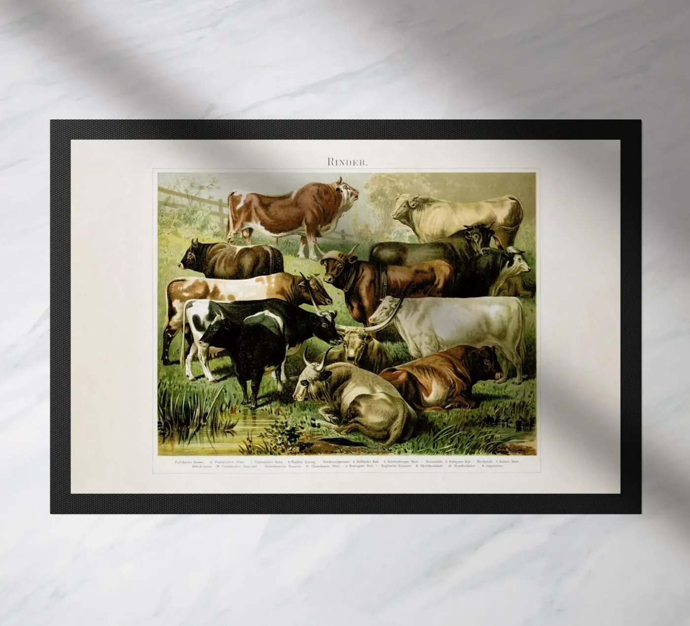 Herd Fußmatte von Flora & Fauna