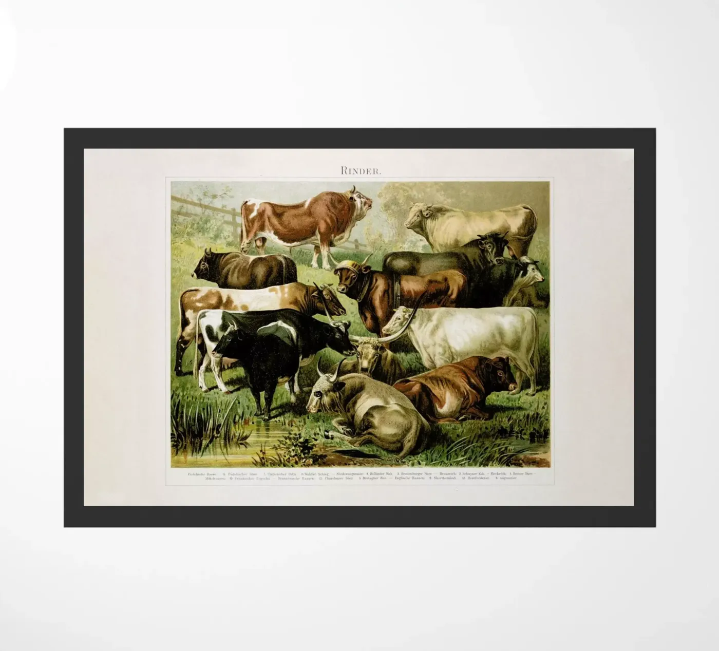 Herd paillasson de Flora & Fauna