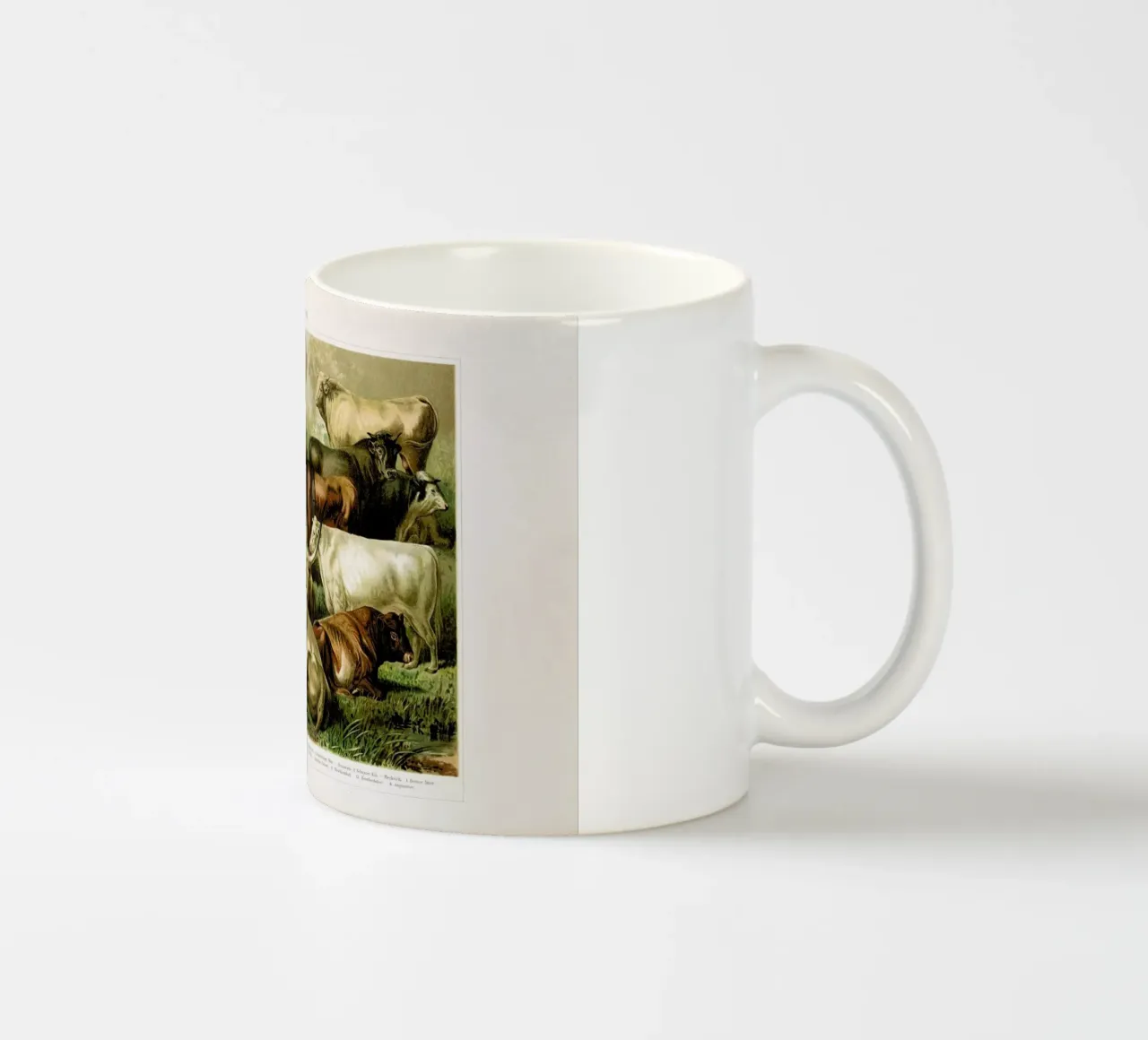 Herd tazza in ceramica da Flora & Fauna