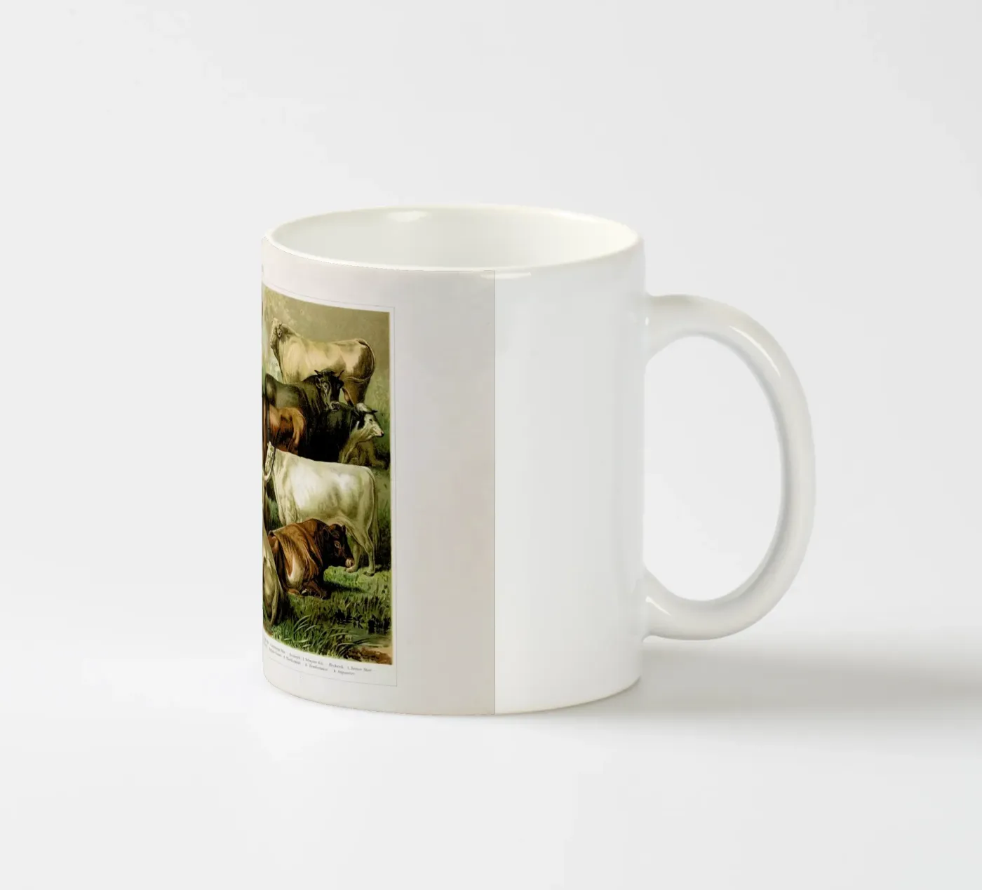 Herd Keramik Tasse von Flora & Fauna