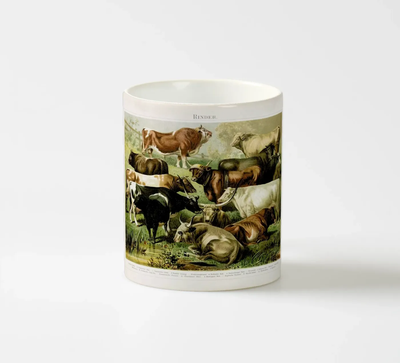 Herd Keramik Tasse von Flora & Fauna