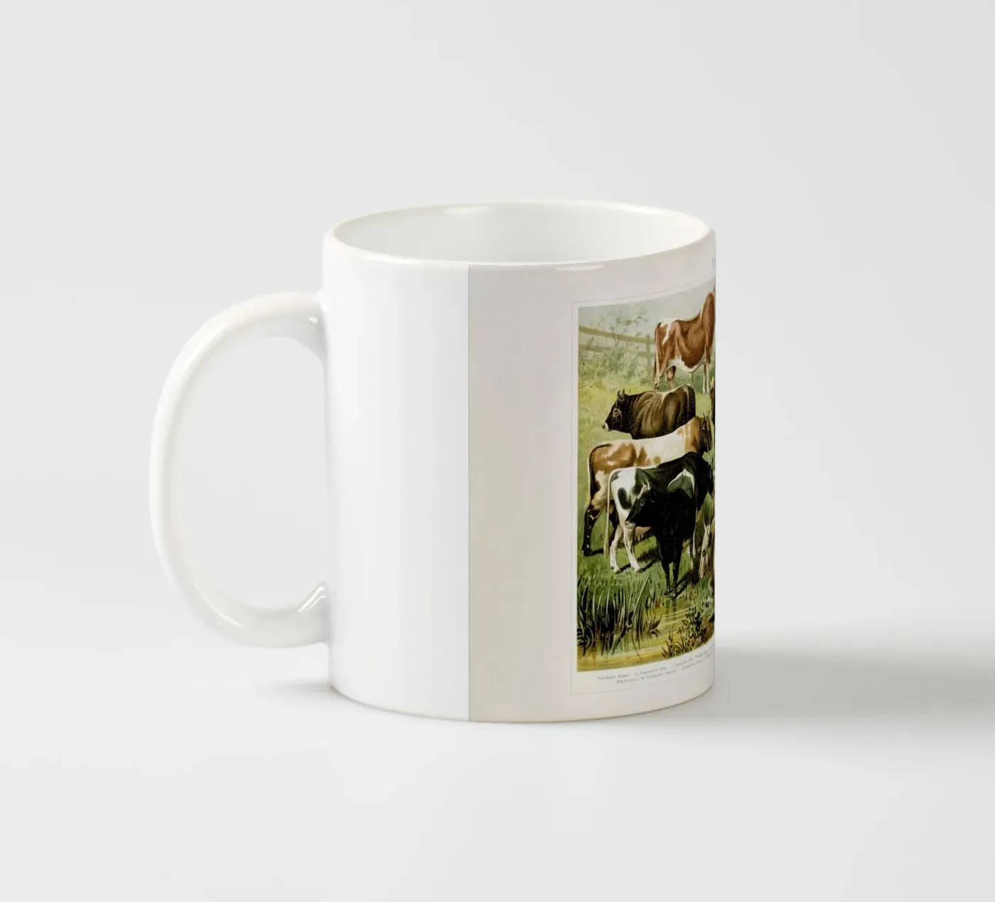 Herd Keramik Tasse von Flora & Fauna