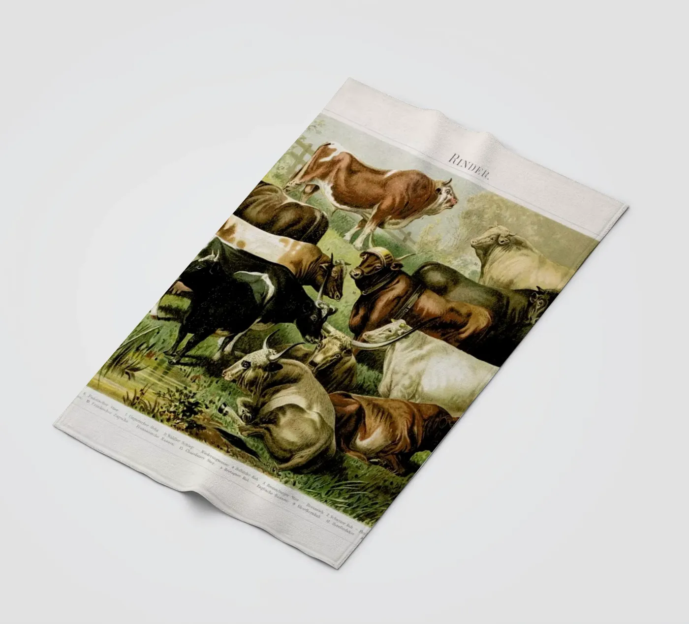 Herd coperta in pile da Flora & Fauna