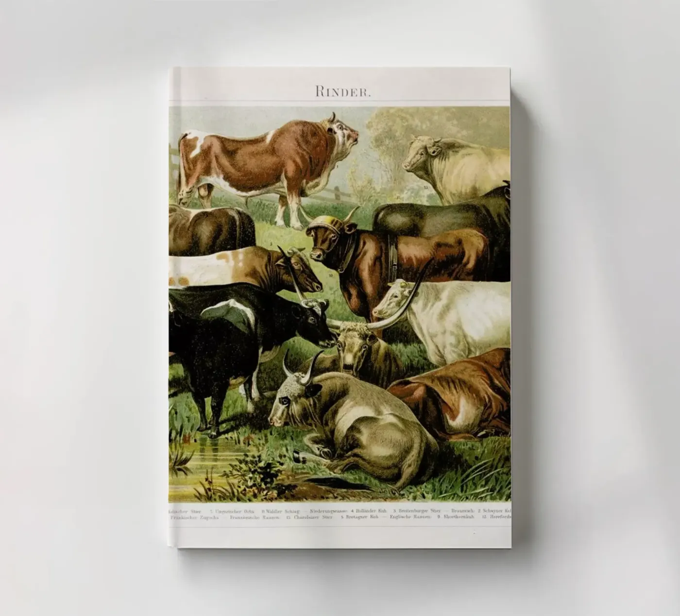 Herd notebook by Flora & Fauna