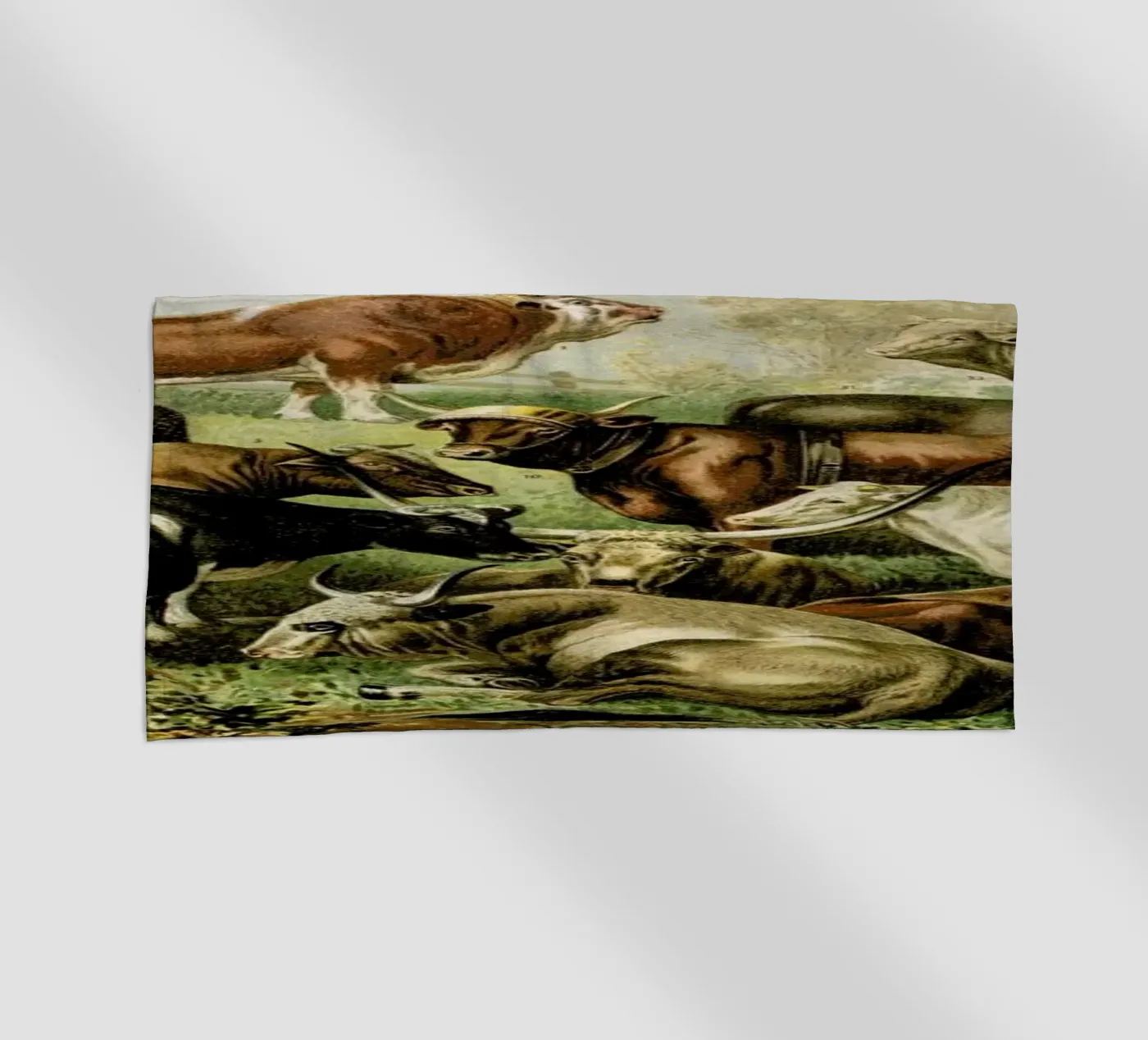 Herd beach towel by Flora & Fauna