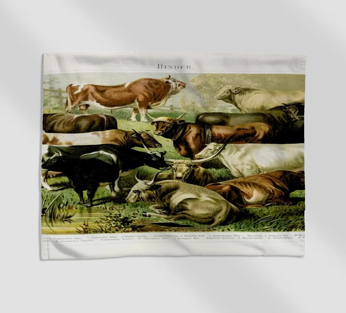 Herd beach towel by Flora & Fauna