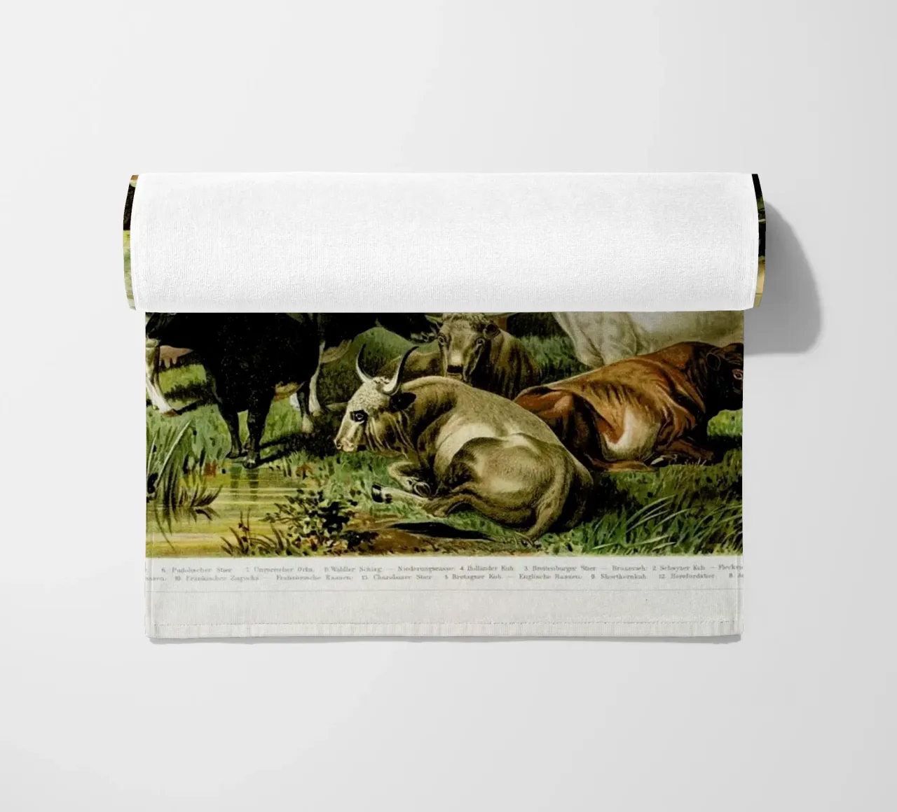 Herd telo mare da Flora & Fauna