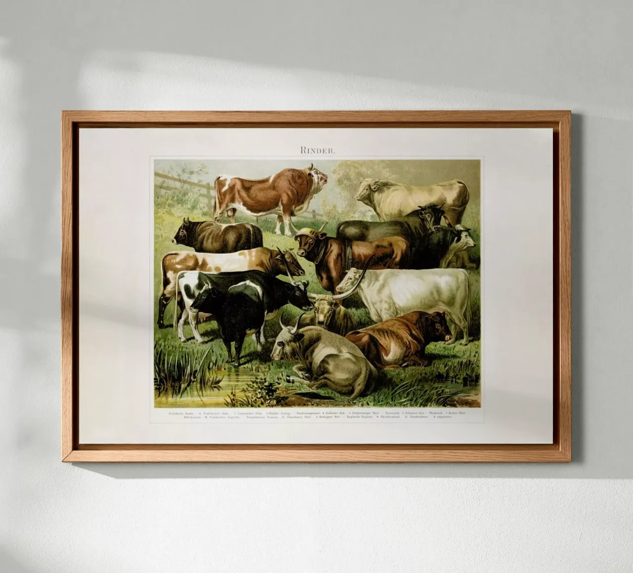 Herd tela con Cornice a cassetta da Flora & Fauna