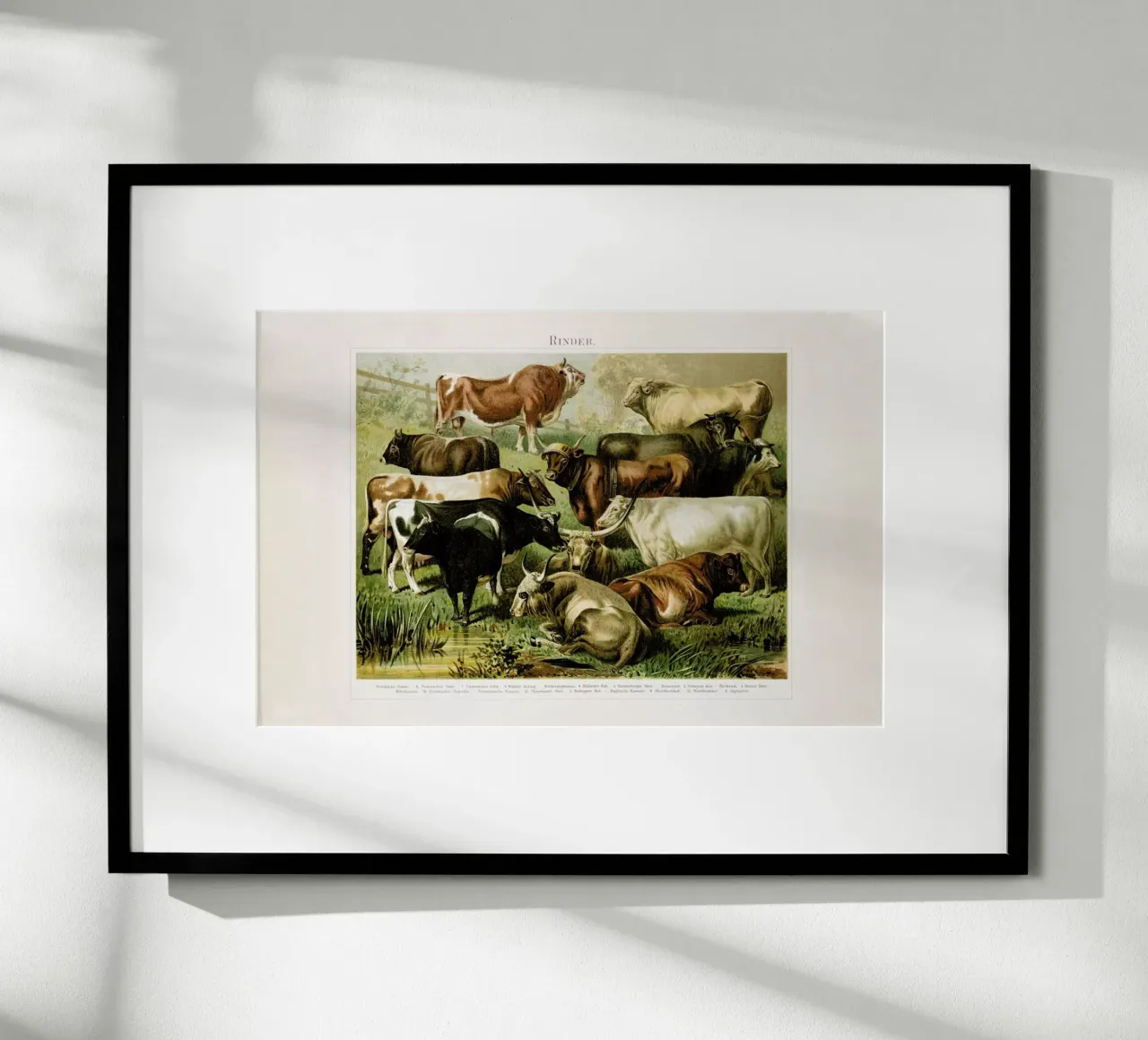 Herd poster con telaio in legno da Flora & Fauna