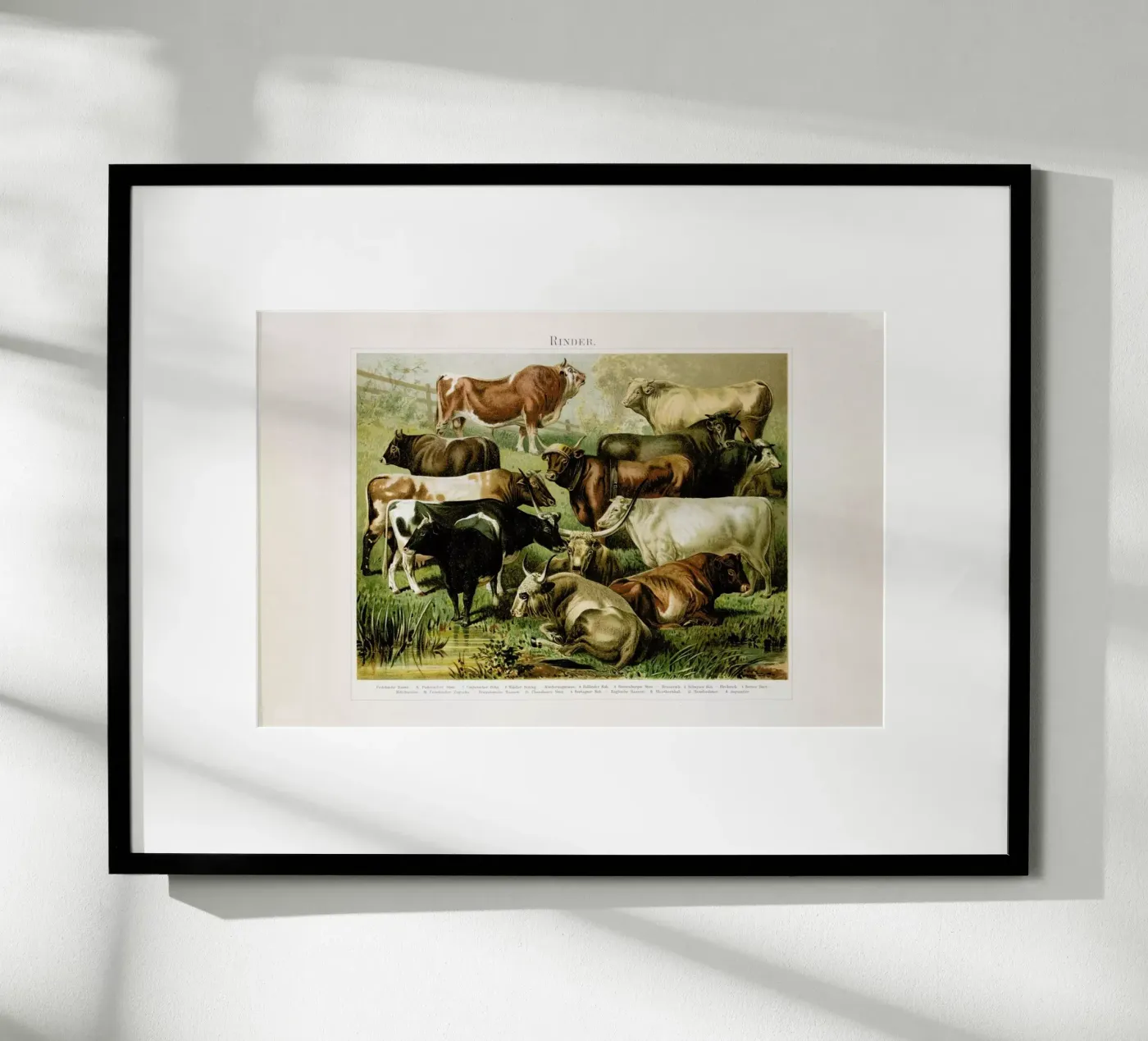 Herd poster van Flora & Fauna