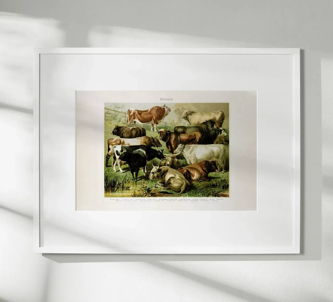 Herd poster con telaio in legno da Flora & Fauna