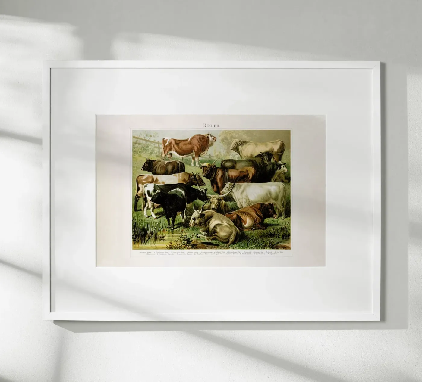 Herd poster van Flora & Fauna