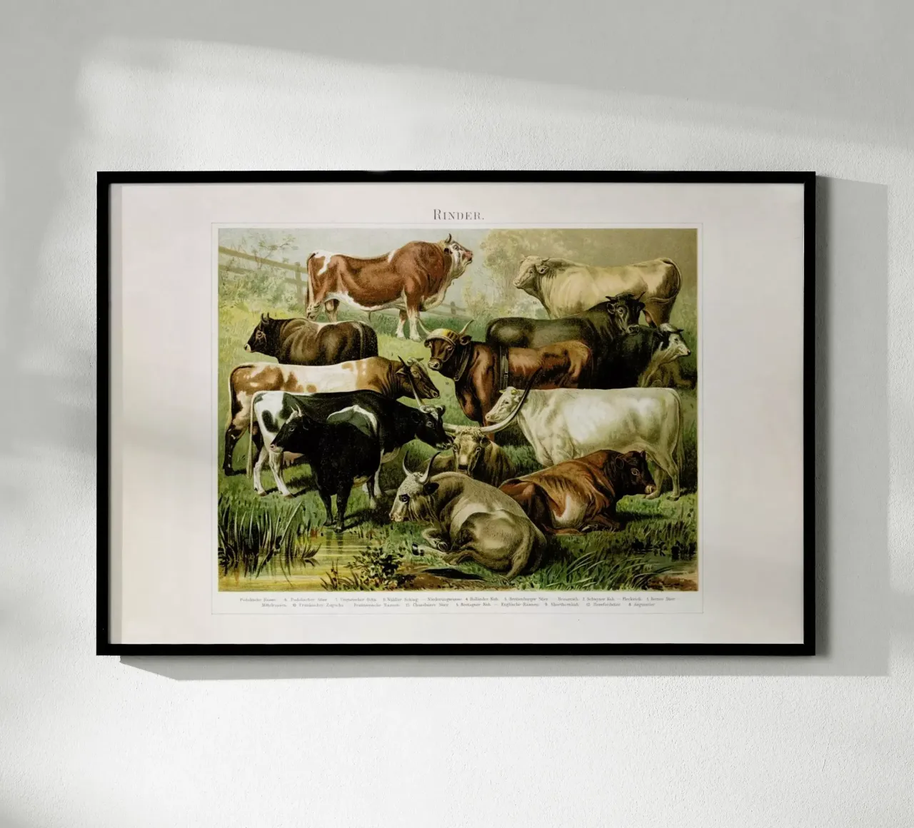 Herd poster con telaio in legno da Flora & Fauna