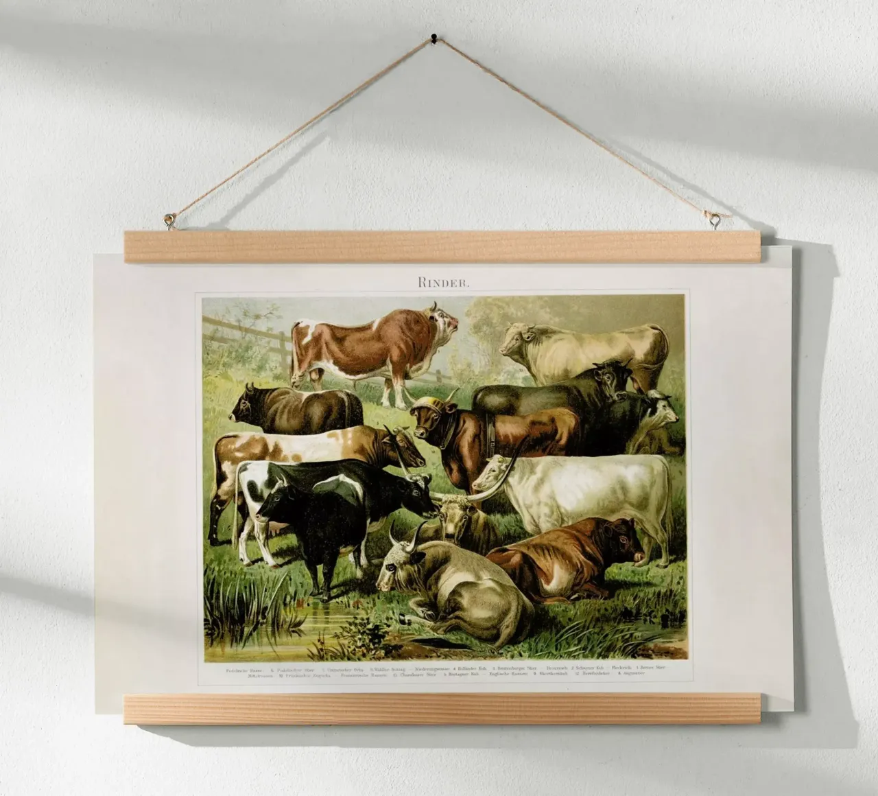 Herd poster con telaio in legno da Flora & Fauna