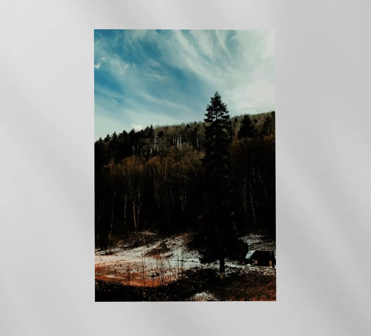 At The The Edge Of The Woods pellicola backlit da Sebastian Hilgetag