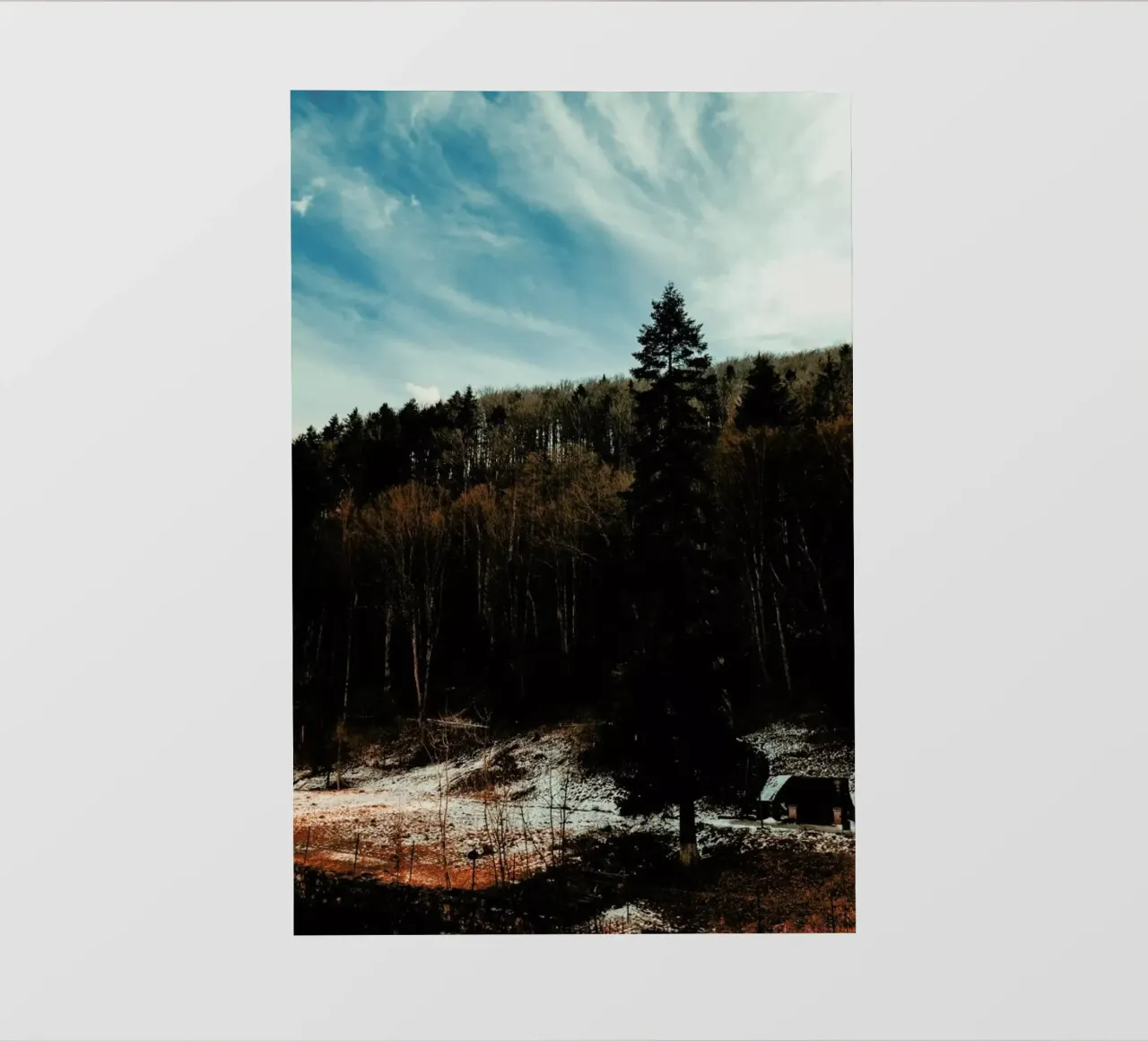 At The The Edge Of The Woods telo in pvc da Sebastian Hilgetag