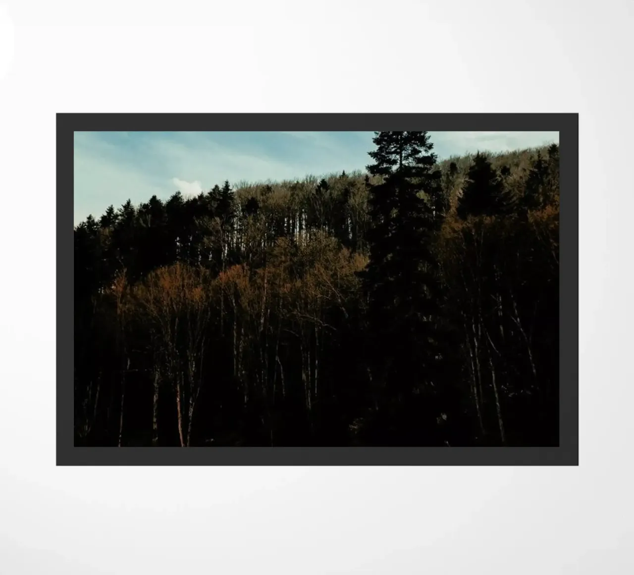 At The The Edge Of The Woods zerbino da Sebastian Hilgetag