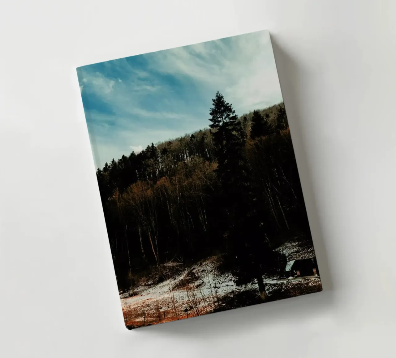 At The The Edge Of The Woods diario da Sebastian Hilgetag