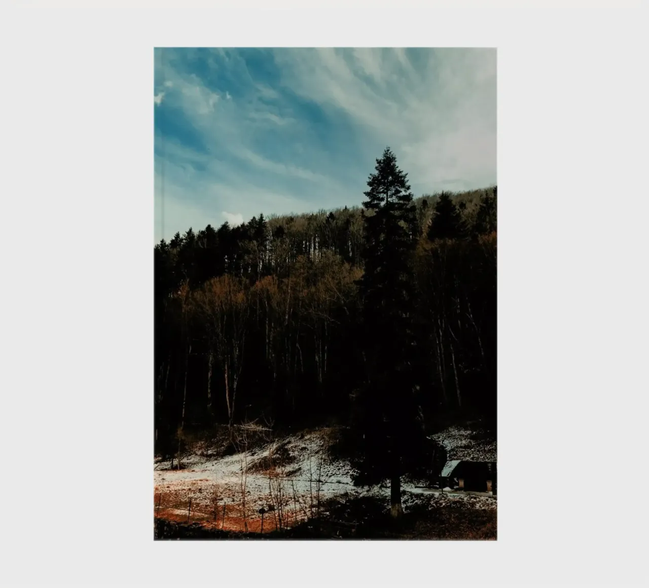 At The The Edge Of The Woods diario da Sebastian Hilgetag