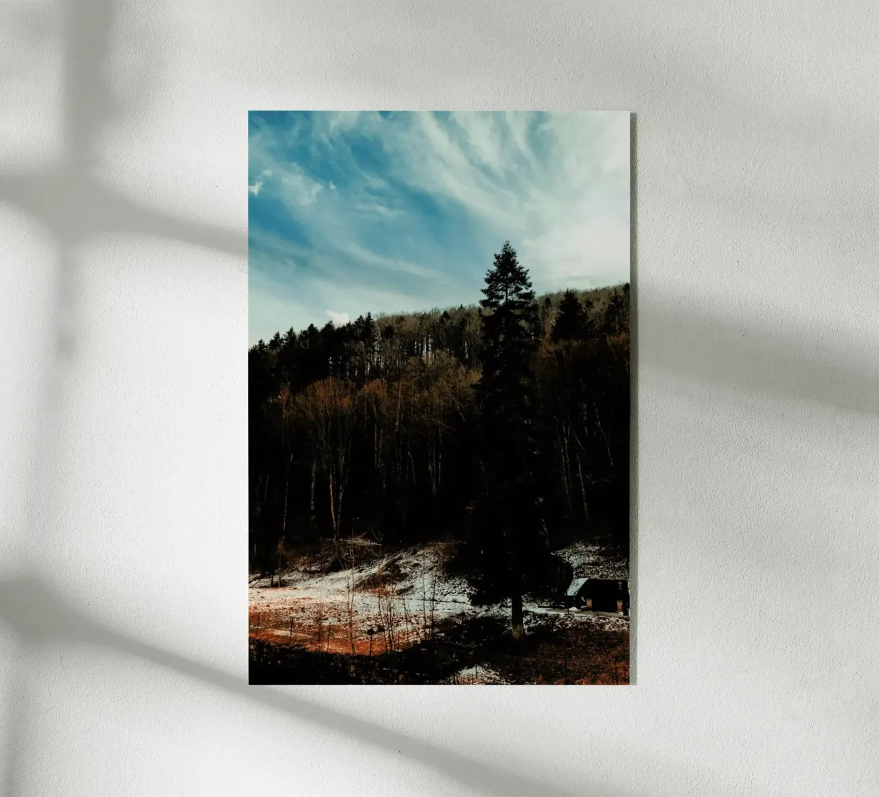 At The The Edge Of The Woods plexiglass da Sebastian Hilgetag
