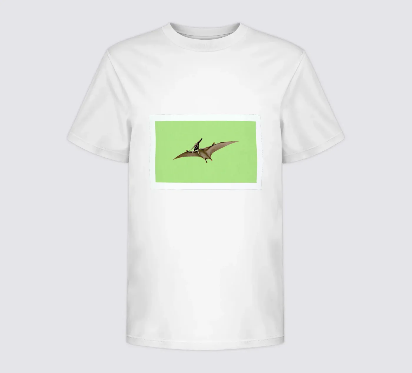 Pterodactyl t-shirt bambini da Flora & Fauna