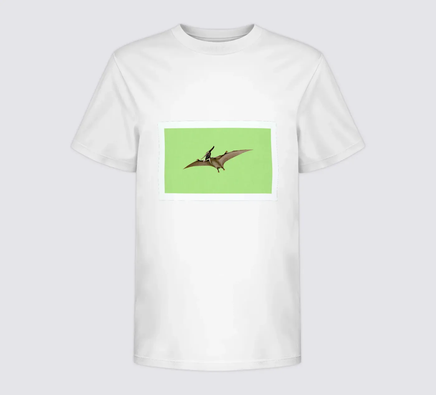 Pterodactyl kinder t-shirt van Flora & Fauna