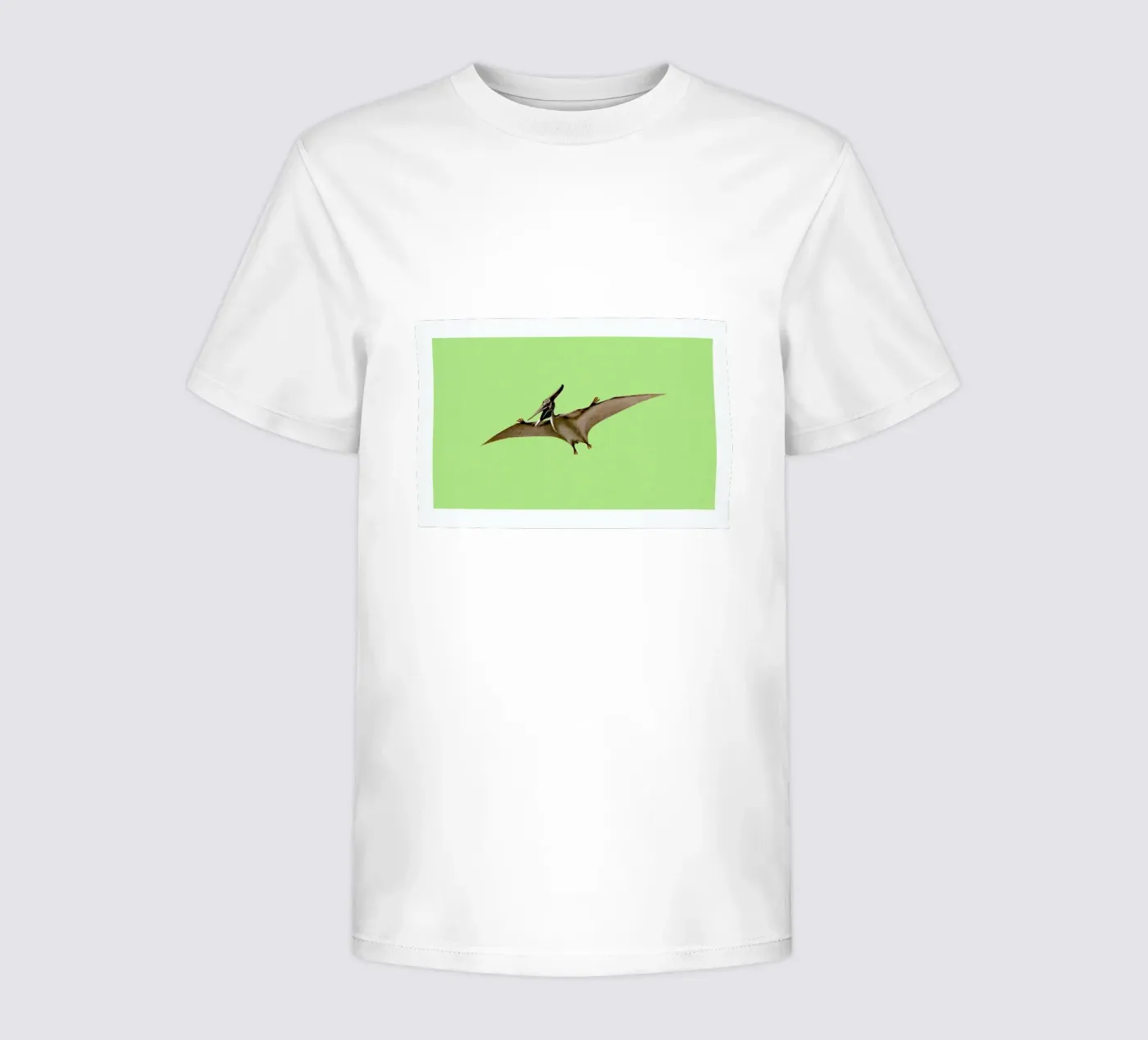 Pterodactyl t-shirt bambini da Flora & Fauna
