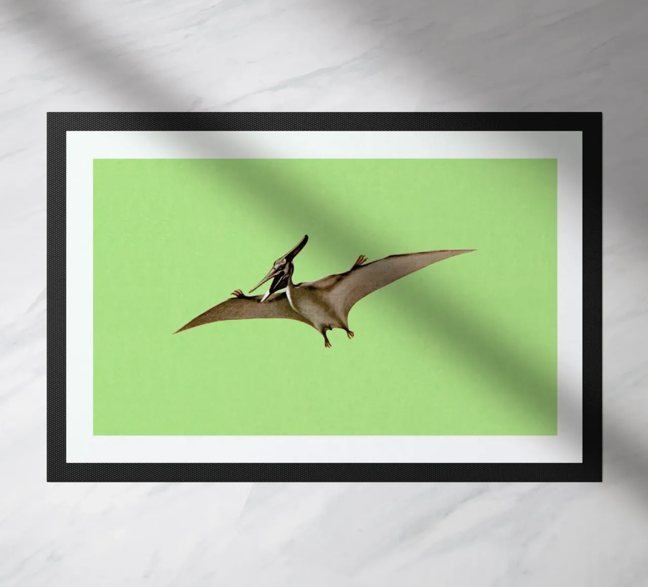 Pterodactyl zerbino da Flora & Fauna