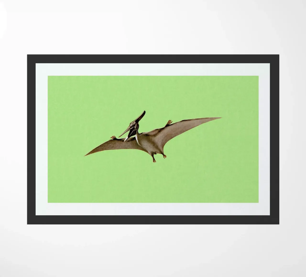 Pterodactyl zerbino da Flora & Fauna