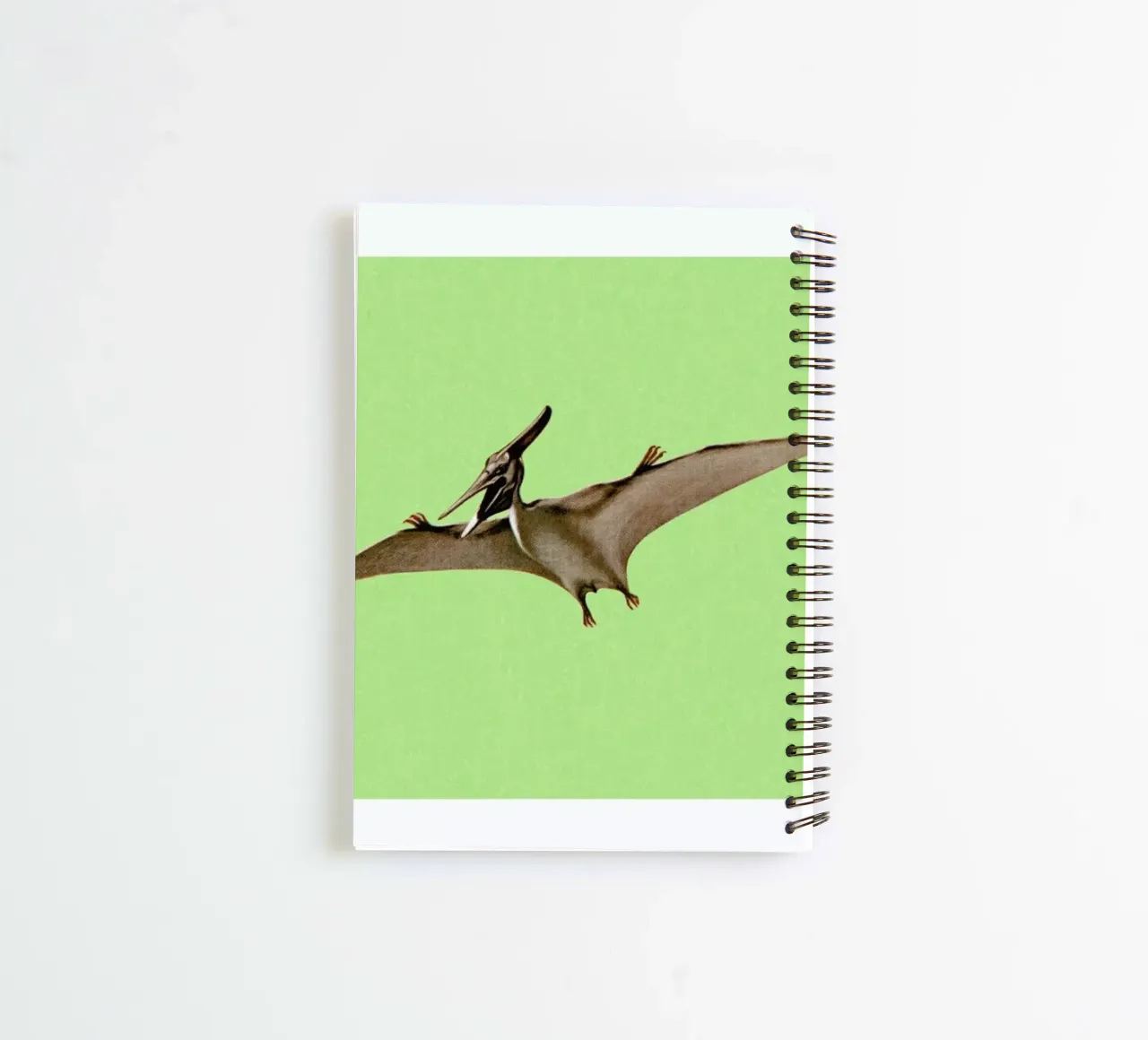 Pterodactyl Ringbuch von Flora & Fauna