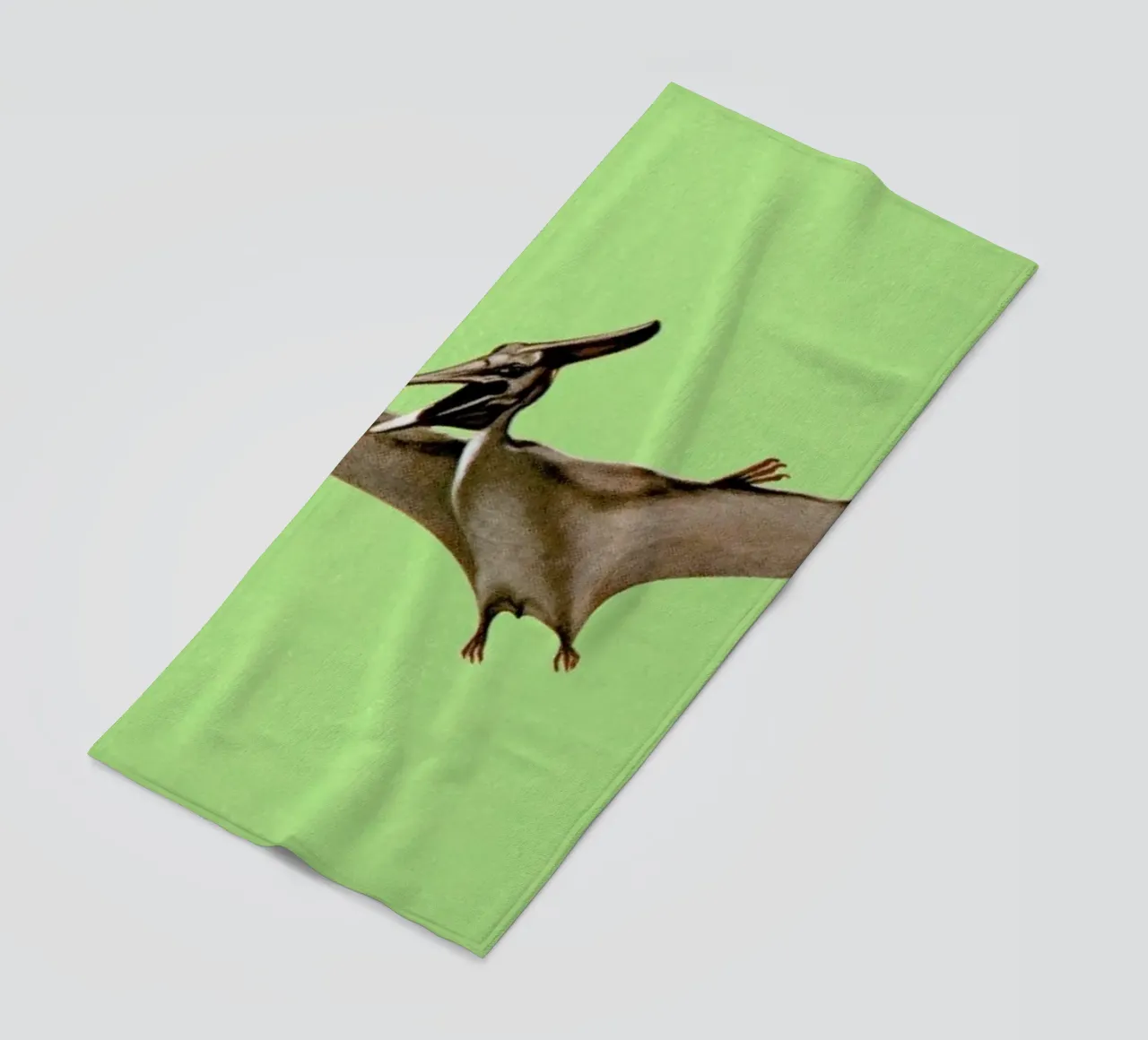 Pterodactyl telo mare da Flora & Fauna