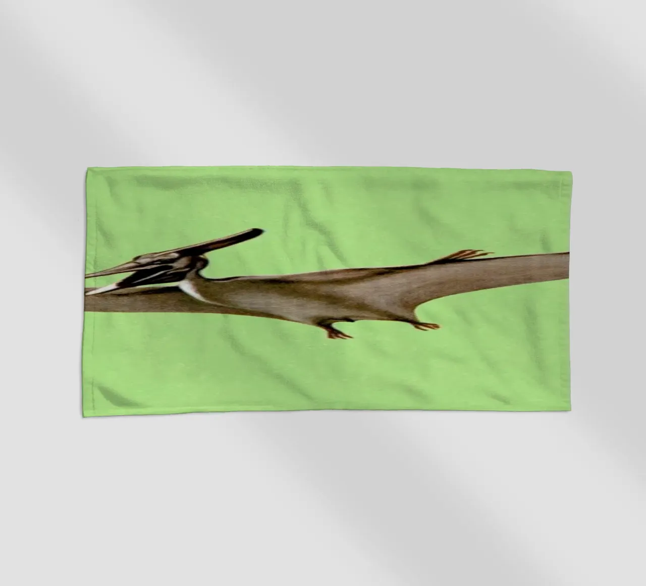 Pterodactyl telo mare da Flora & Fauna