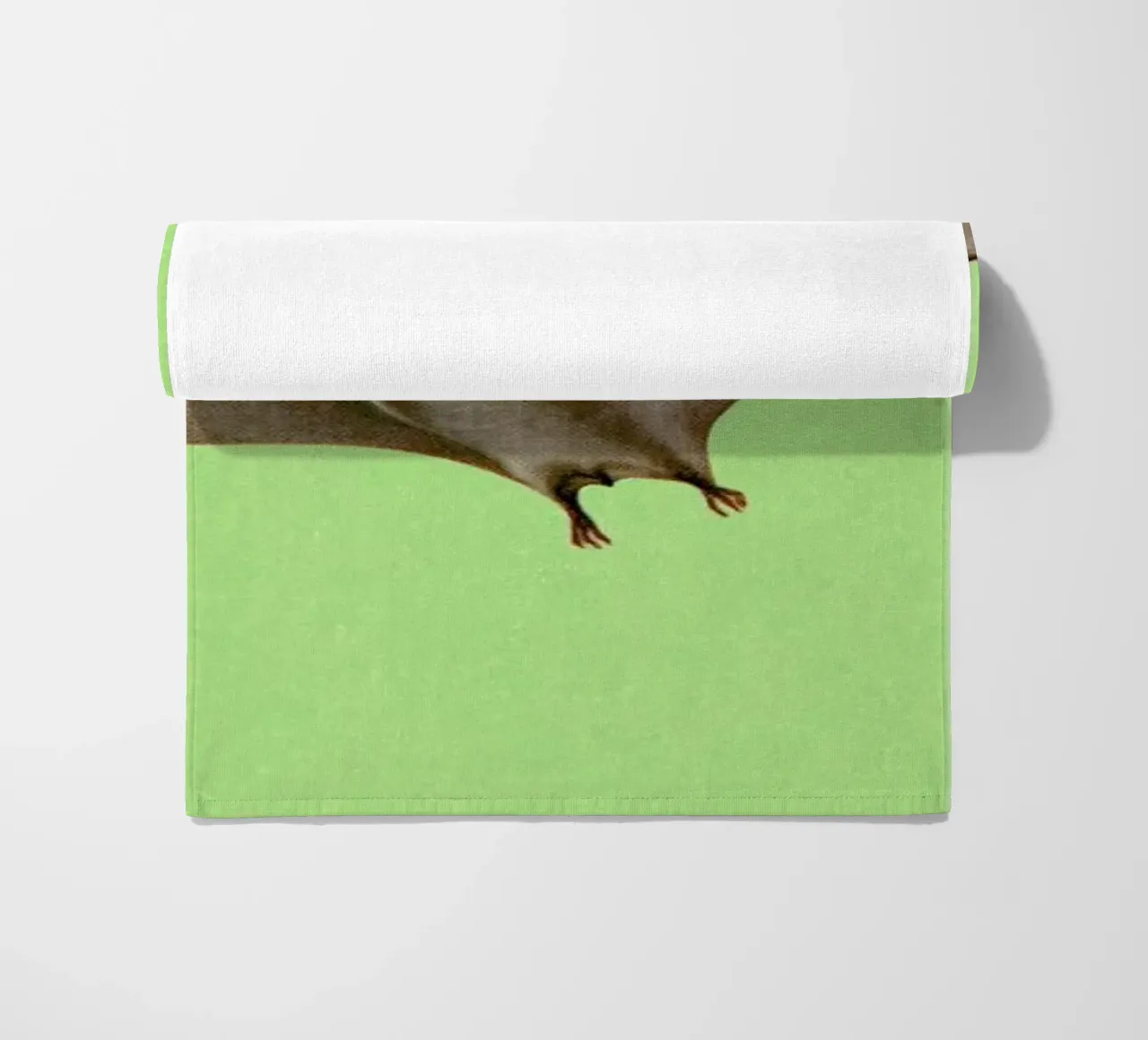 Pterodactyl telo mare da Flora & Fauna