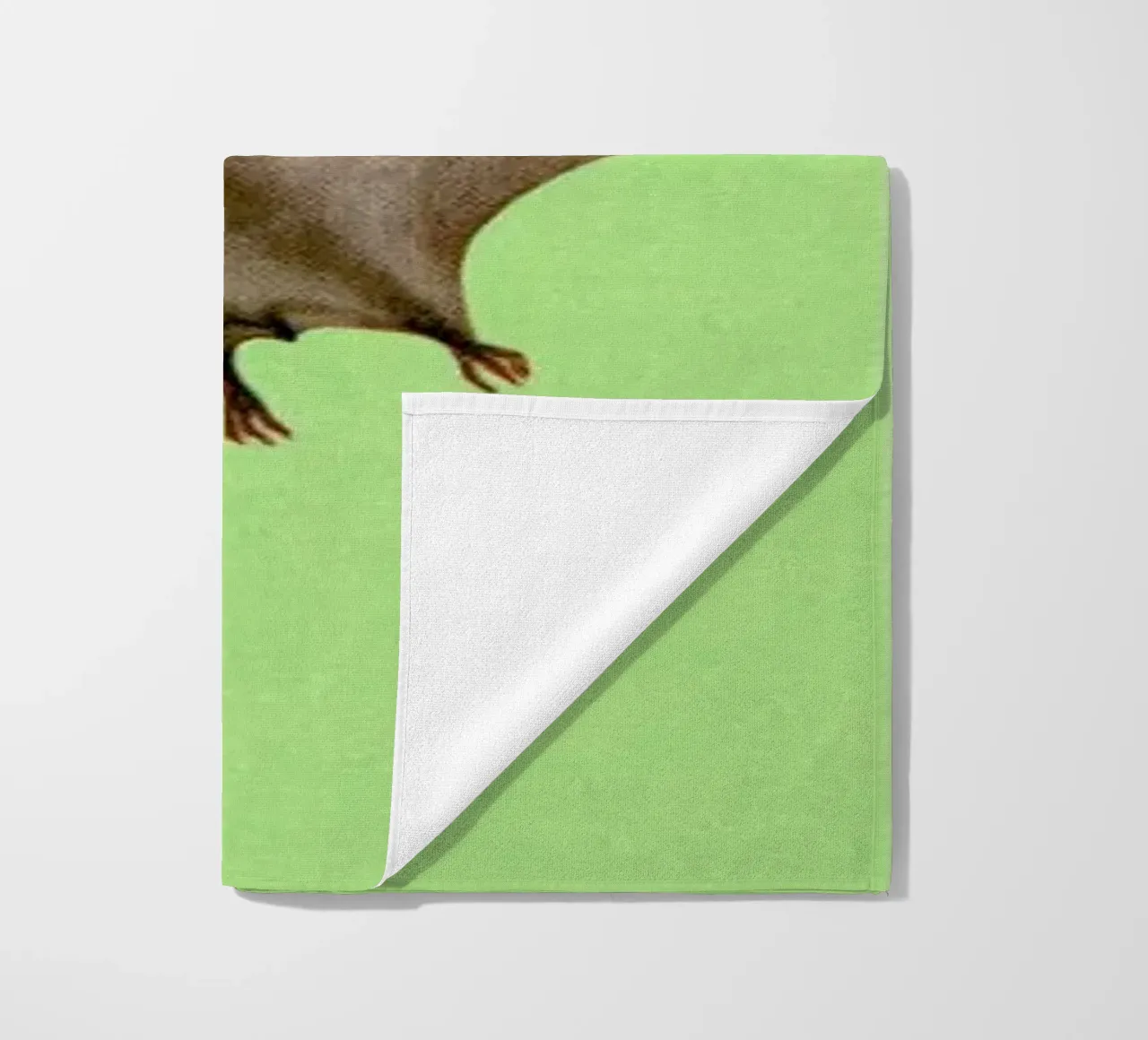 Pterodactyl telo mare da Flora & Fauna