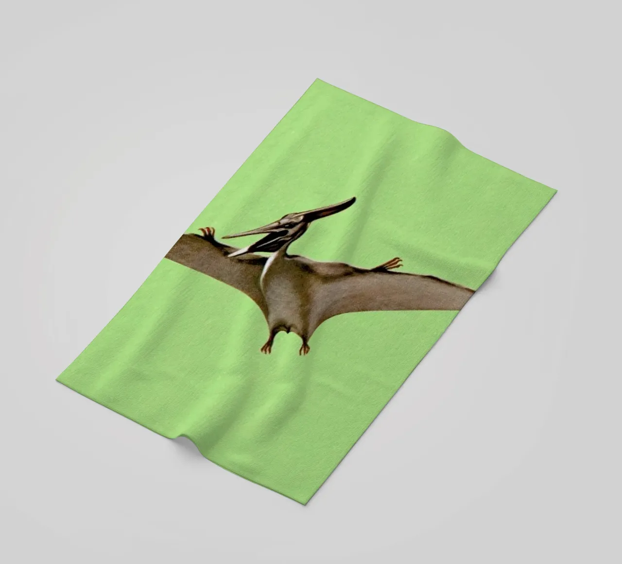 Pterodactyl telo mare da Flora & Fauna