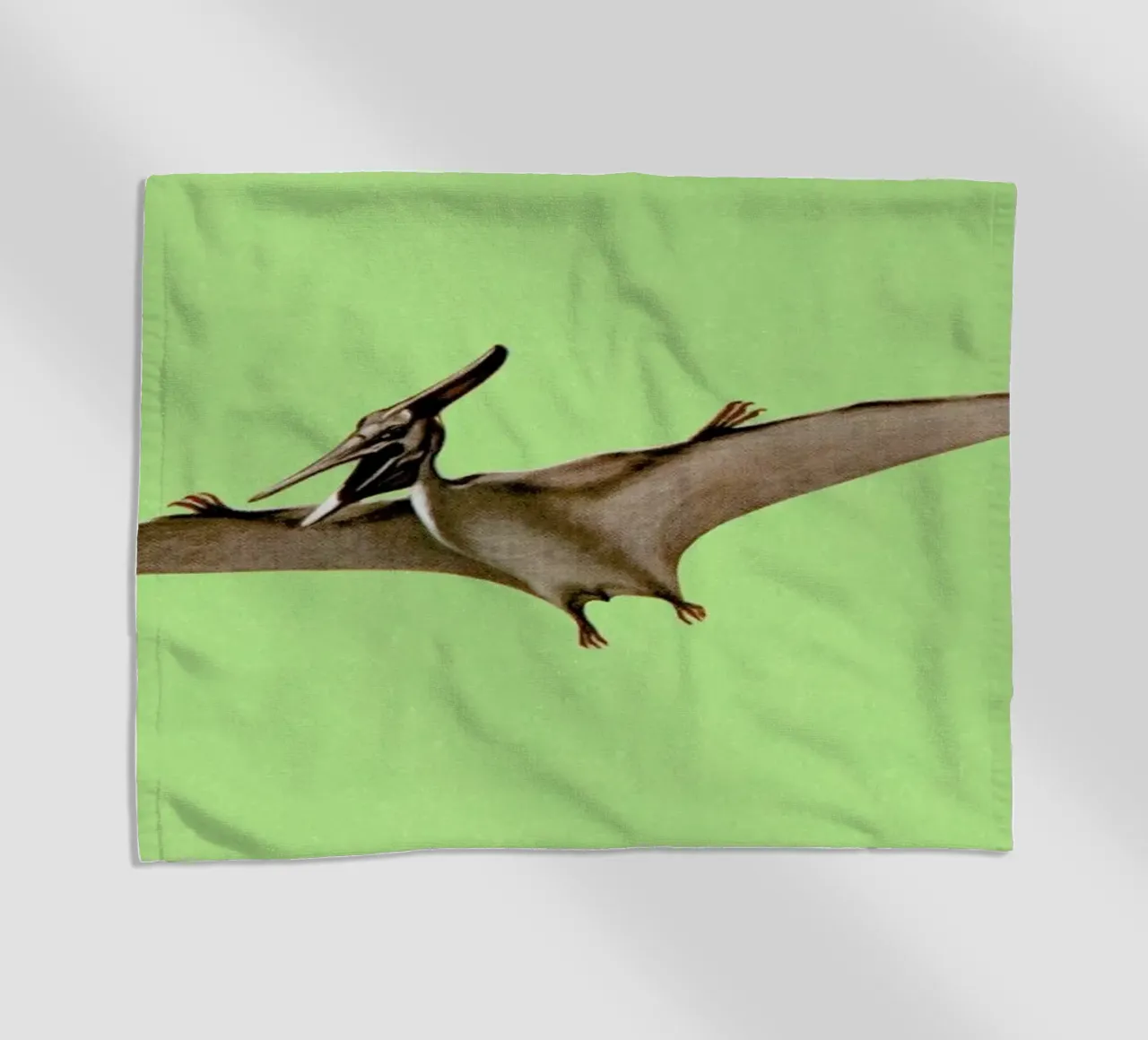 Pterodactyl telo mare da Flora & Fauna