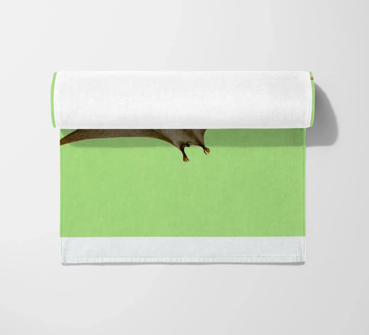 Pterodactyl telo mare da Flora & Fauna