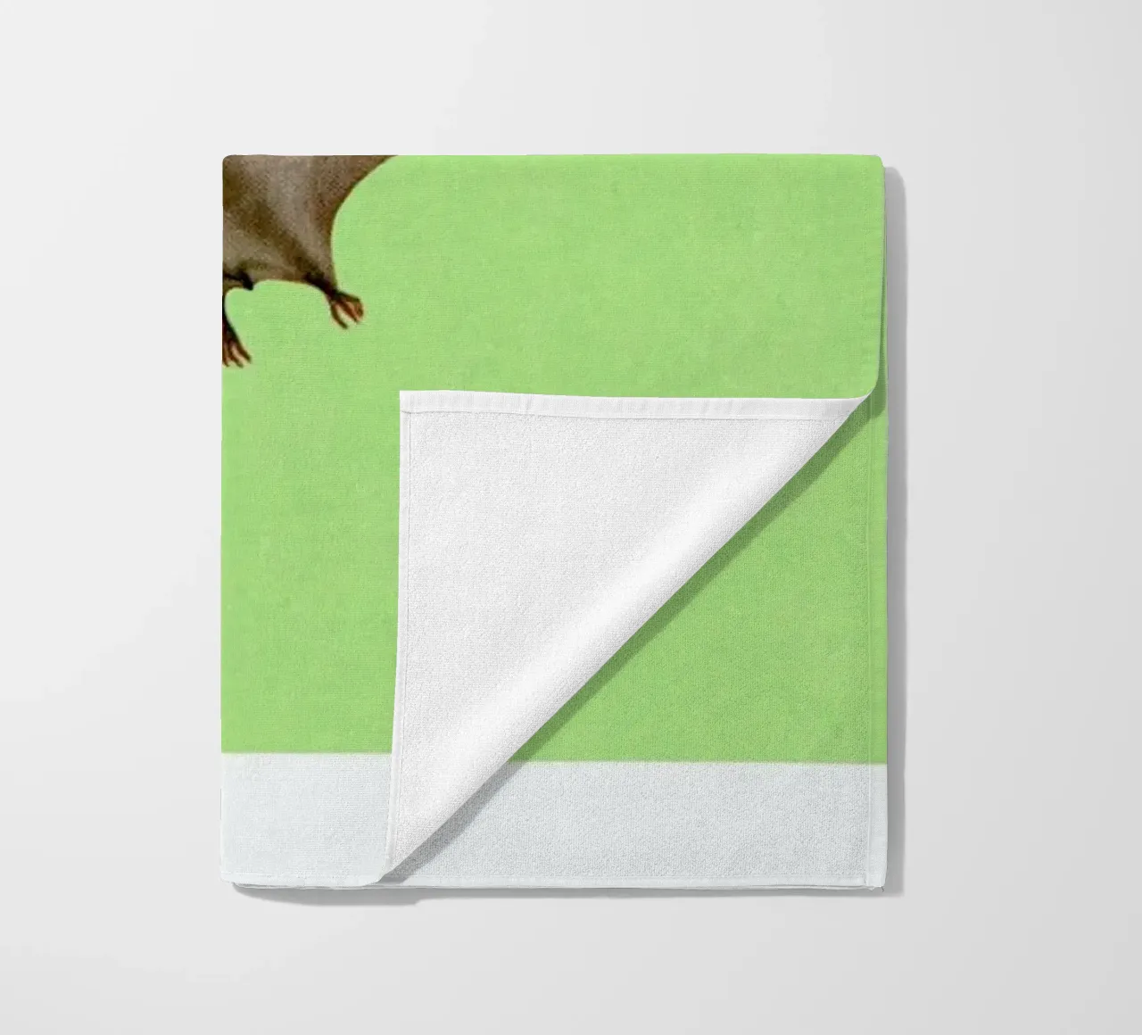 Pterodactyl telo mare da Flora & Fauna