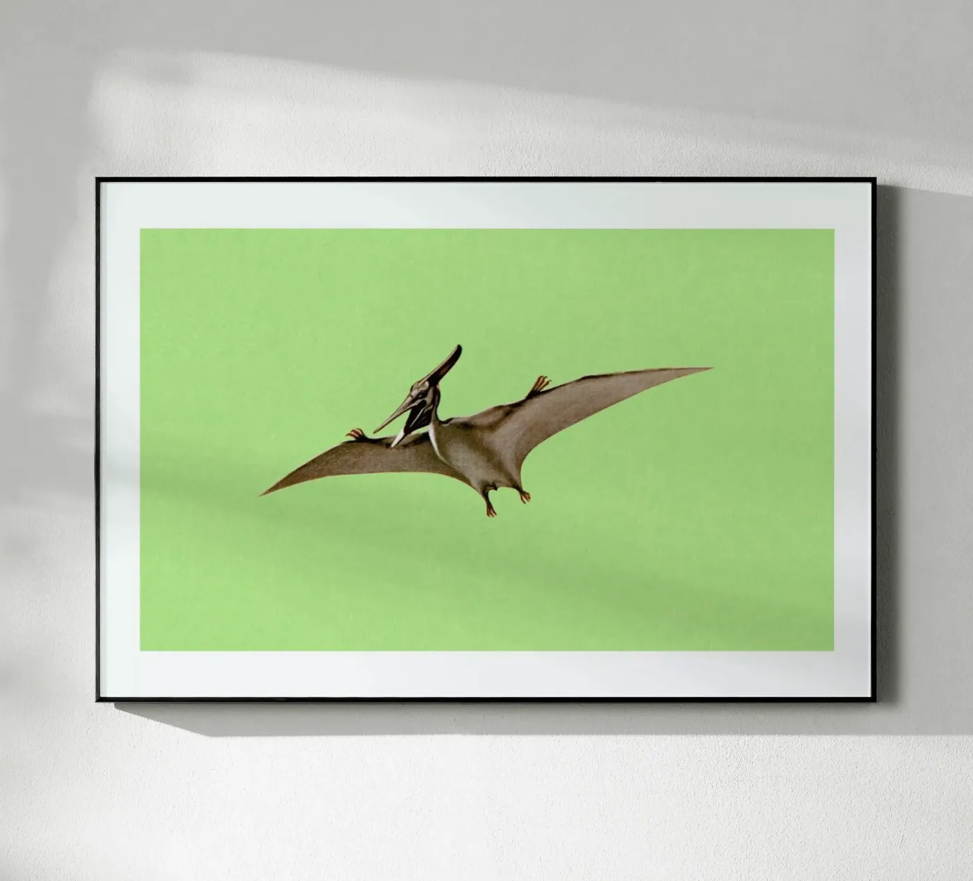 Pterodactyl plexiglas de Flora & Fauna