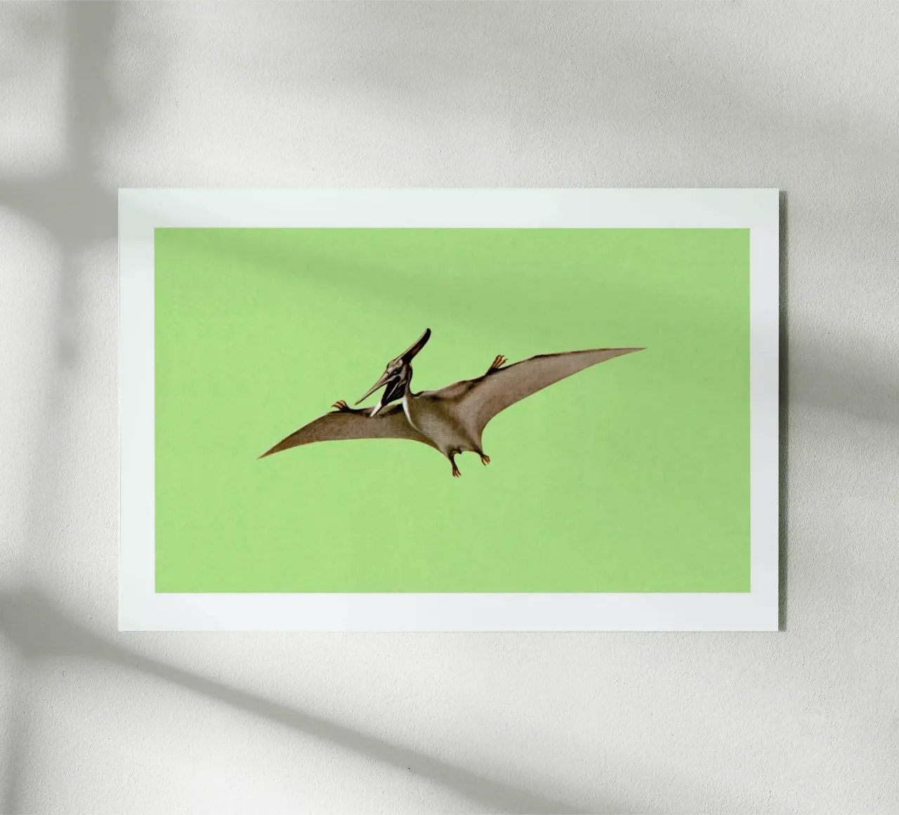 Pterodactyl plexiglas de Flora & Fauna
