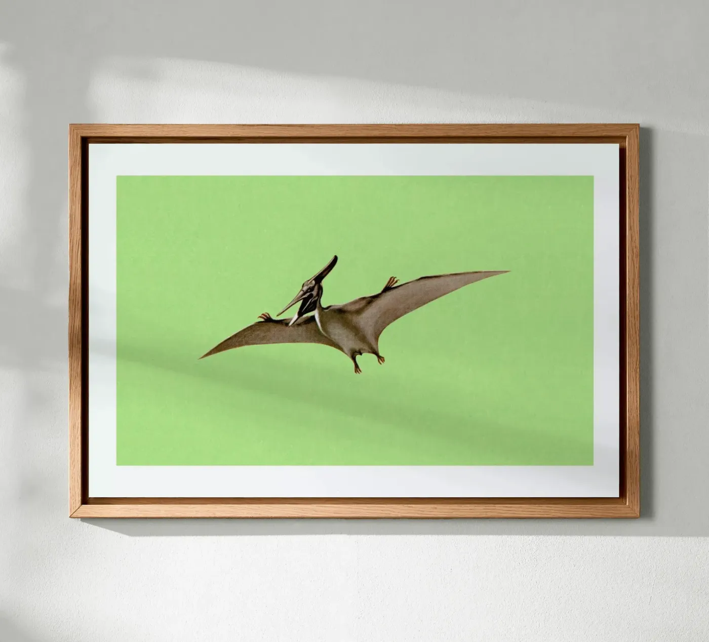 Pterodactyl forex plate by Flora & Fauna