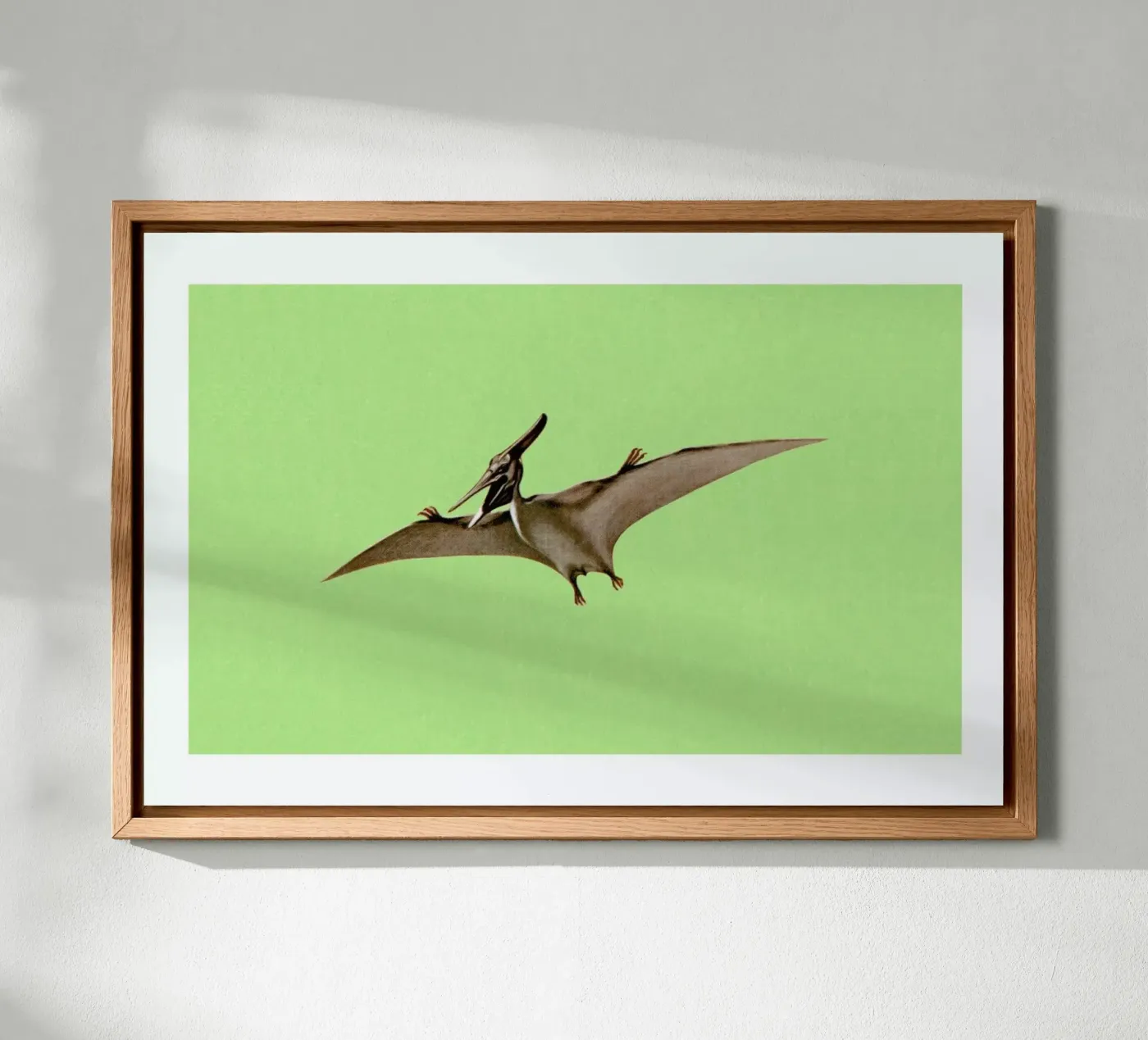 Pterodactyl pannello forex da Flora & Fauna