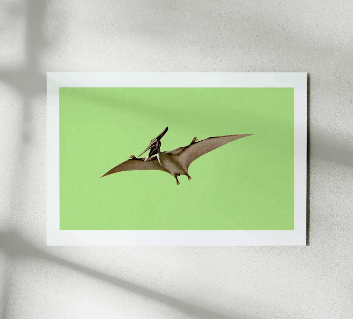 Pterodactyl forex plate by Flora & Fauna