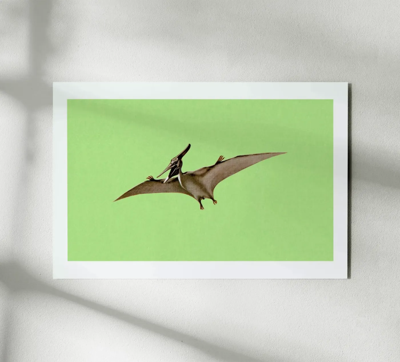 Pterodactyl pannello forex da Flora & Fauna