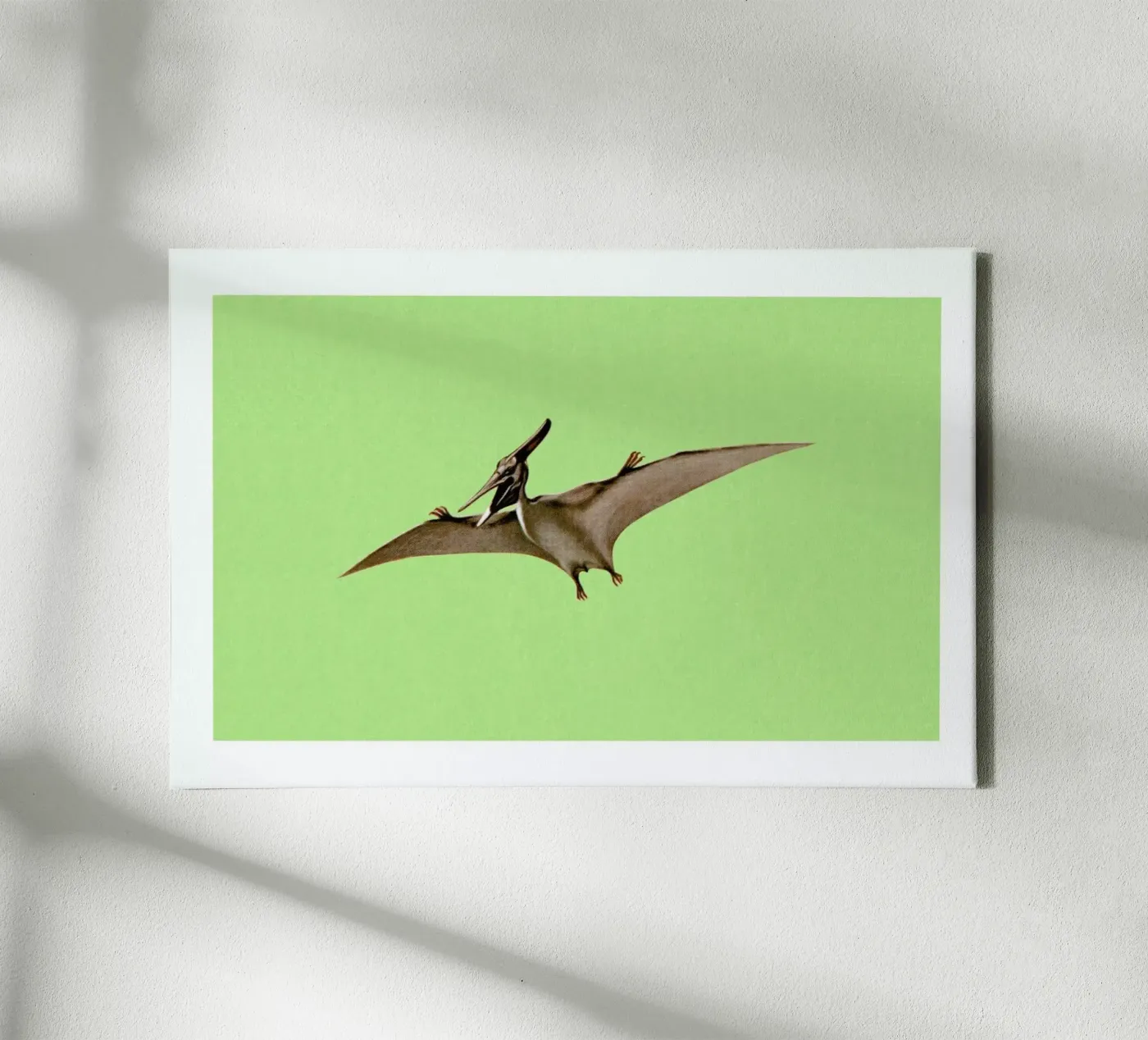 Pterodactyl tela da Flora & Fauna