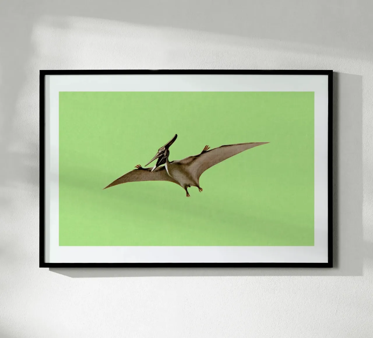Pterodactyl poster da Flora & Fauna